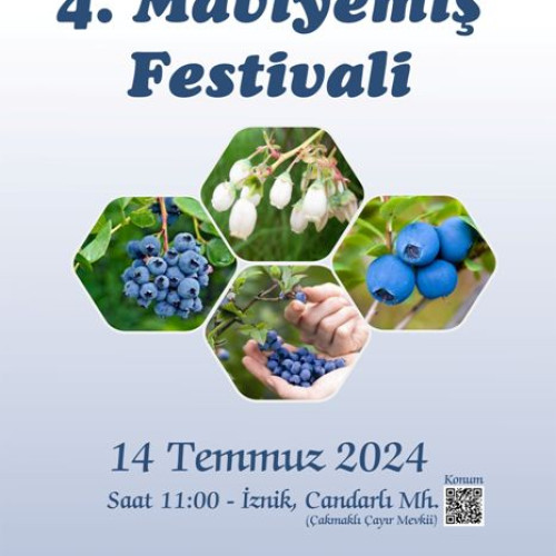 4. Maviyemiş Festivali