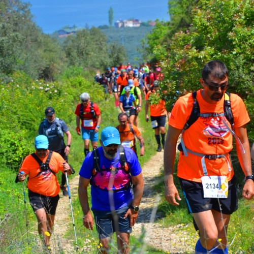 Haber Fotoğrafı