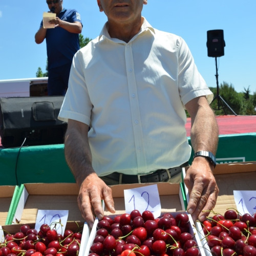 Haber Fotoğrafı