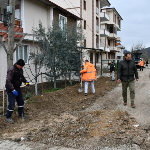 BAŞKAN USTA, KUZGUN SOKAKTA  YOL VE PARKE ÇALIŞMALARINI İNCELEDİ