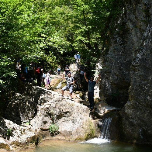 Haber Fotoğrafı