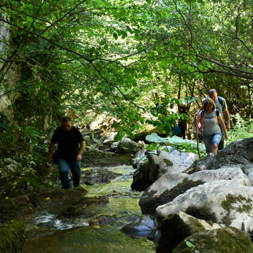 Haber Fotoğrafı