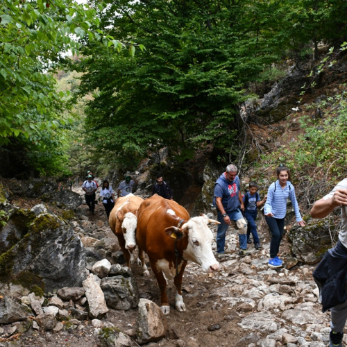 Haber Fotoğrafı