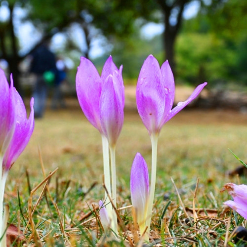 Haber Fotoğrafı