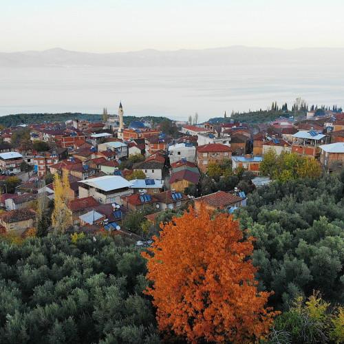 Haber Fotoğrafı