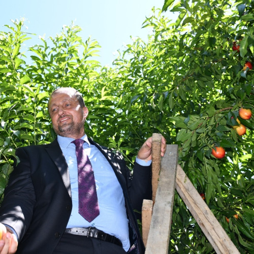 Haber Fotoğrafı