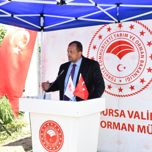 Haber Fotoğrafı