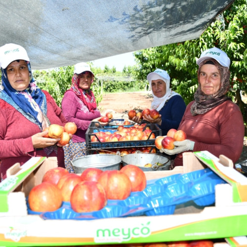 Haber Fotoğrafı