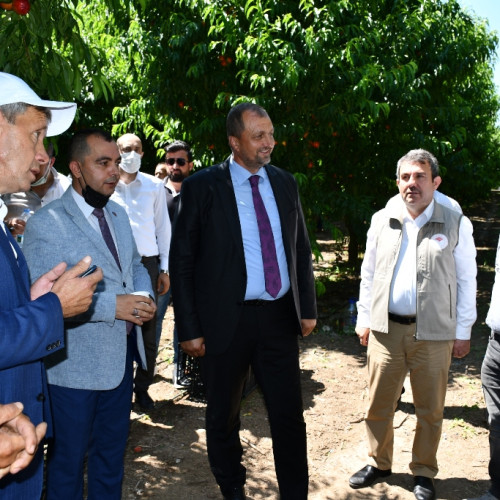 Haber Fotoğrafı
