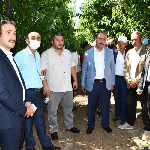 Haber Fotoğrafı