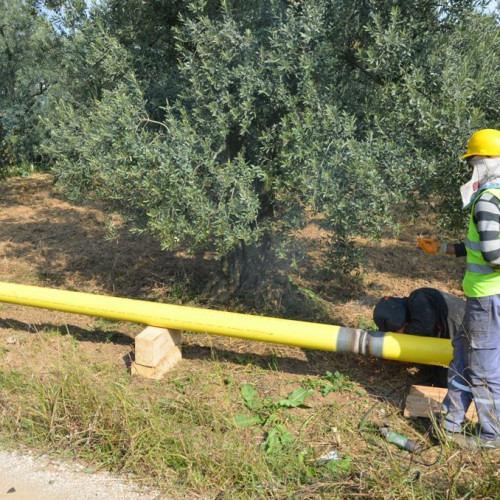 Haber Fotoğrafı