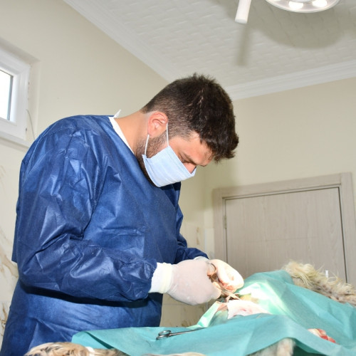 Haber Fotoğrafı