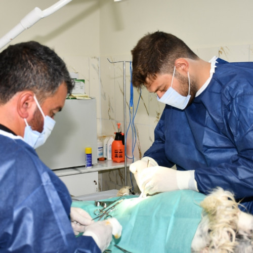 Haber Fotoğrafı