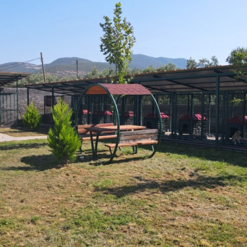 Haber Fotoğrafı