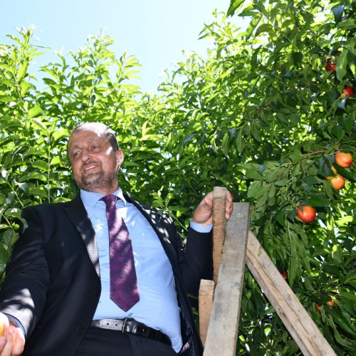 Haber Fotoğrafı