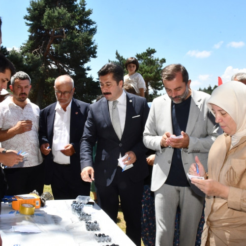 Haber Fotoğrafı