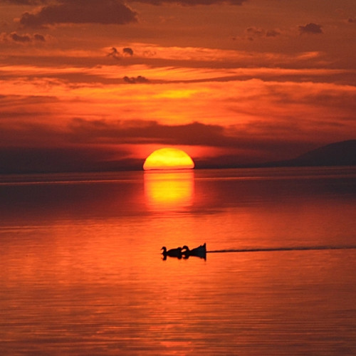 Haber Fotoğrafı