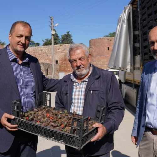 Haber Fotoğrafı