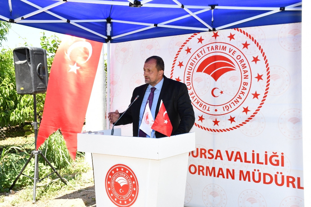 İZNİK’TE NEKTARİN HASADI ŞENLİK İLE BAŞLADI
