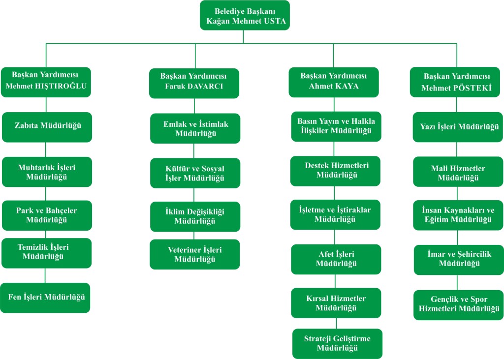 Organizasyon Şeması
