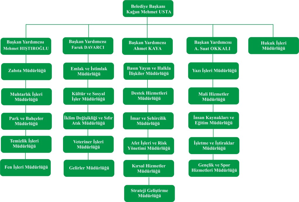 Organizasyon Şeması